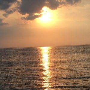 Meet your Posher, Riley